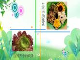 一年上册美术 第四课 舞动的线条 辽海版课件PPT