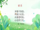 一年上册美术 第九课 漂亮的彩蛋 辽海版课件PPT