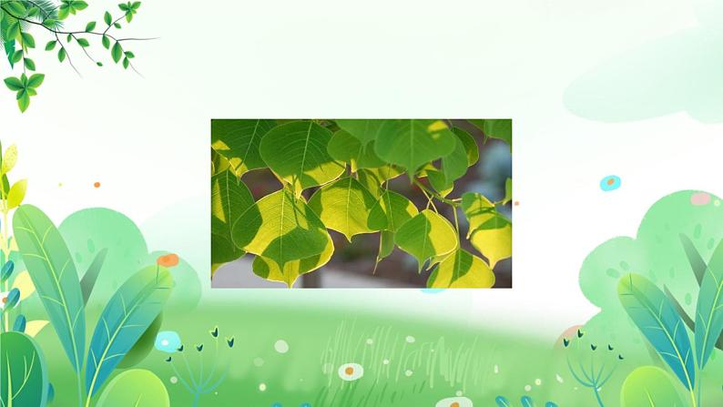 二年上册美术 第八课 叶子拓印 辽海版课件PPT第4页