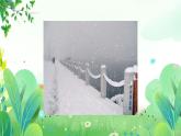 二年上册美术 第十九课 雪花飘飘 辽海版课件PPT