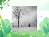 二年上册美术 第十九课 雪花飘飘 辽海版课件PPT
