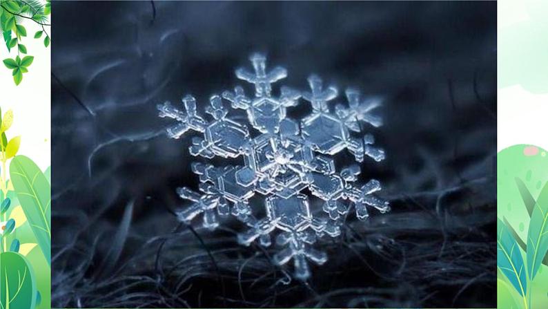 二年上册美术 第十九课 雪花飘飘 辽海版课件PPT第6页