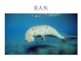 第6課 海洋世界 課件+素材