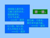 我家的菜籃子 課件+教案+素材