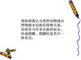 《神秘的圖騰柱》課件