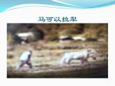 人教版二年級(jí)美術(shù)上冊 第15課 我和馬兒在一起課件PPT