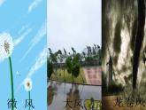 人教版二年級(jí)美術(shù)上冊(cè) 第16課 風(fēng)來(lái)了課件PPT