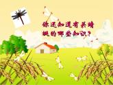 人教版二年級(jí)美術(shù)上冊(cè) 第9課 蜻蜓飛飛課件PPT