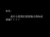 人教版三年級美術上冊 第10課 美麗的花課件PPT