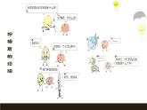 人教版四年级美术上册 第3课 蔬果的剖面课件PPT