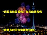 人教版一年級美術(shù)上冊 第5課 五彩的煙花課件PPT