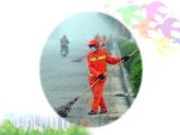 湘美版四年級美術上冊 第11課 城市美容師課件PPT