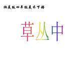 湘美版四年級(jí)美術(shù)上冊 第5課 草叢中課件PPT