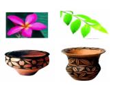 湘美版四年級(jí)美術(shù)上冊(cè) 第12課 一模不一樣課件PPT