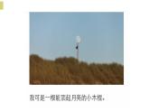 湘美版三年級美術(shù)上冊 第6課 新發(fā)現(xiàn)課件PPT