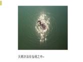 湘美版三年級美術(shù)上冊 第6課 新發(fā)現(xiàn)課件PPT