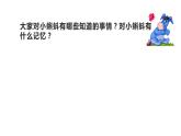 湘美版二年級(jí)美術(shù)上冊(cè) 10.小蝌蚪課件PPT