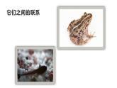 湘美版二年級(jí)美術(shù)上冊(cè) 10.小蝌蚪課件PPT