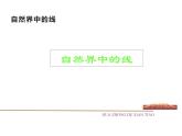人教版一年級(jí)美術(shù)上冊(cè) 第3課 彩線連彩點(diǎn)課件PPT