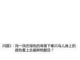 人教版五年級美術(shù)上冊 第14課 會跳的玩具課件PPT