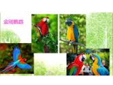 人教版五年級美術(shù)上冊 第14課 會跳的玩具課件PPT