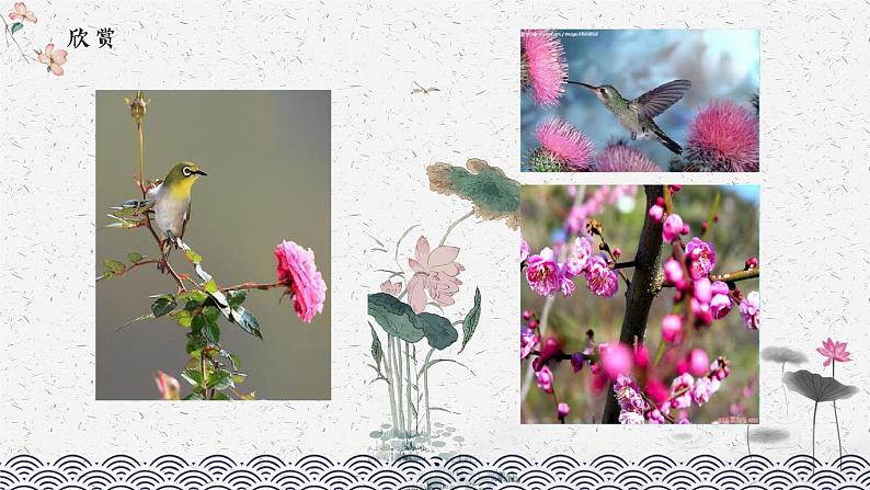 人教版五年级美术上册 第8课 鸟语花香课件PPT第4页