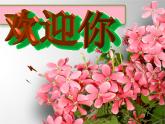人教版 一年級美術上冊 第11課 花兒寄深情 課件