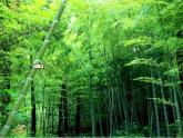 人教版 二年級美術(shù)上冊 第6課 花花衣 課件