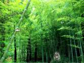 人教版 二年級美術(shù)上冊 第6課 花花衣 課件