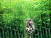 人教版 二年級美術(shù)上冊 第6課 花花衣 課件