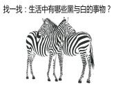 人教版 三年級(jí)美術(shù)上冊(cè) 第6課 黑與白 課件
