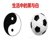 人教版 三年級(jí)美術(shù)上冊(cè) 第6課 黑與白 課件