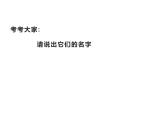 人教版 五年級(jí)美術(shù)上冊 第17課 電腦動(dòng)畫 課件