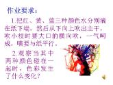湘美版 二年級美術(shù)上冊 3.五彩樹 課件（11張PPT）