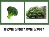 湘美版 四年級(jí)美術(shù)上冊(cè) 第15課 這個(gè)地方有點(diǎn)怪 課件（23張PPT）