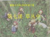 湘美版 四年級(jí)美術(shù)上冊 第5課 草叢中 課件（12張PPT）