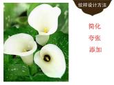 湘美版 四年級(jí)美術(shù)上冊(cè) 第6課 花兒朵朵 課件（14張PPT）