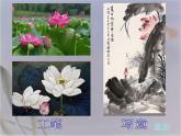 湘美版 五年級(jí)美術(shù)上冊(cè) 第6課 水墨動(dòng)物 課件（45張PPT）