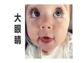 湘美版 一年级美术上册 4.大眼睛 课件（21张PPT）