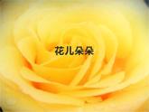 湘美版 美術(shù)四年級(jí)上冊(cè) 第6課 花兒朵朵 課件