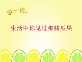 湘美版 美術(shù)二年級(jí)上冊(cè)  5.瓜果飄香 課件