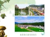 湘美版 美術(shù)六年級(jí)上冊(cè)-第3課 美麗家園 課件