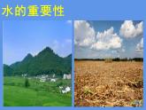 湘美版 美術(shù)六年級(jí)上冊(cè) 第9課 生命的甘露 課件