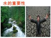 湘美版 美術(shù)六年級(jí)上冊(cè) 第9課 生命的甘露 課件