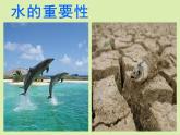 湘美版 美術(shù)六年級(jí)上冊(cè) 第9課 生命的甘露 課件