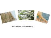 湘美版 美術(shù)六年級上冊- 第8課 田間的精靈 課件