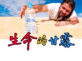 湘美版 美術(shù)六年級(jí)上冊(cè)- 第9課 生命的甘露 課件