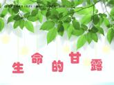 湘美版 美術(shù)六年級(jí)上冊(cè)- 第9課 生命的甘露 課件