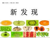 湘美版 三年級美術(shù)上冊 第6課 新發(fā)現(xiàn) 課件（36張PPT）