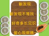 湘美版 三年級美術(shù)上冊 第6課 新發(fā)現(xiàn) 課件（36張PPT）